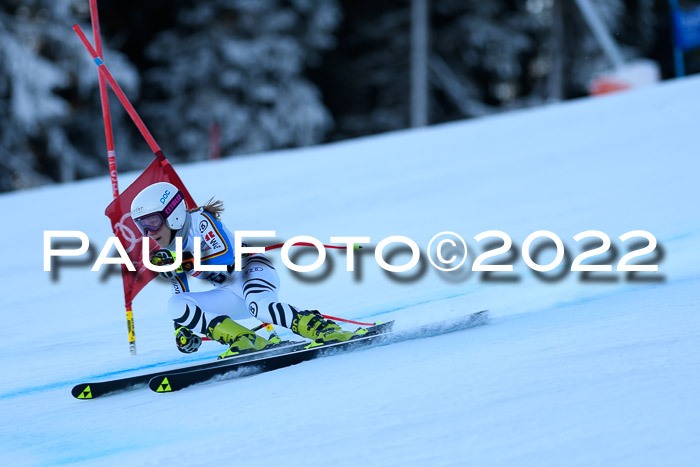 FIS AC NJC Damen + Herren Super-G
