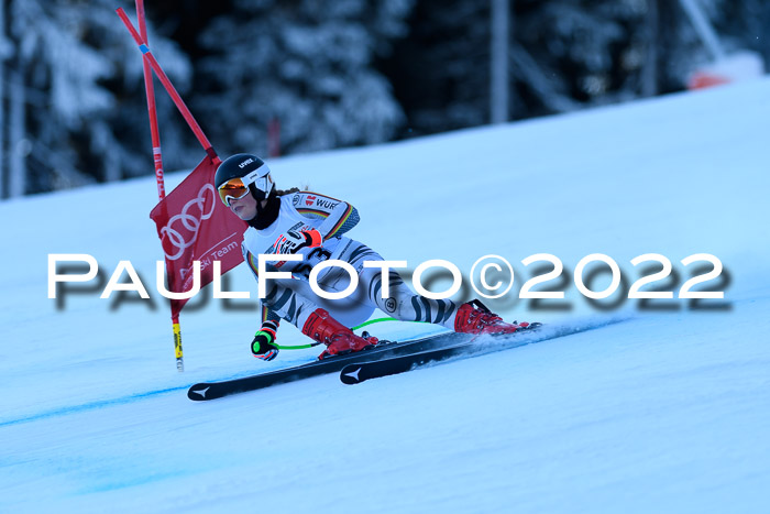 FIS AC NJC Damen + Herren Super-G