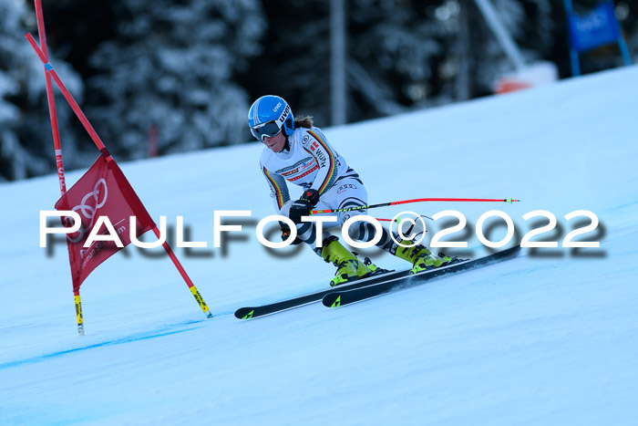 FIS AC NJC Damen + Herren Super-G
