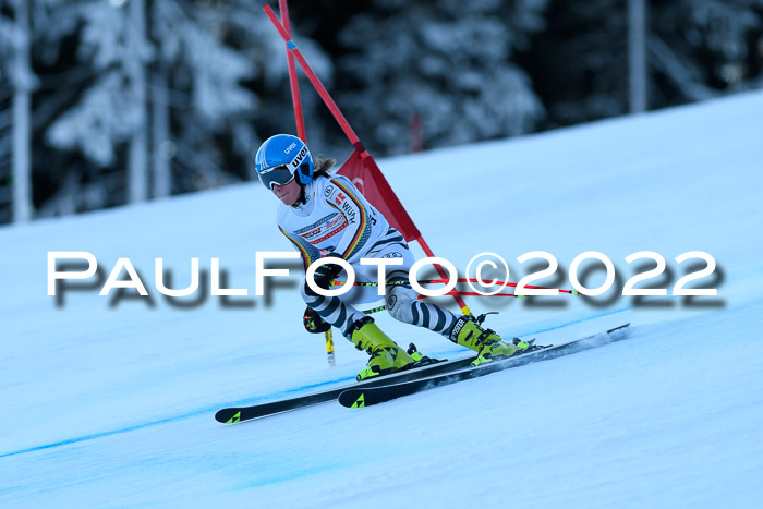 FIS AC NJC Damen + Herren Super-G