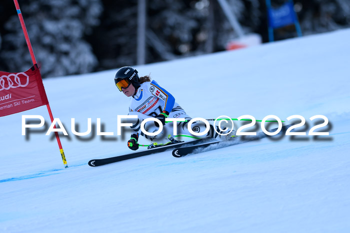 FIS AC NJC Damen + Herren Super-G
