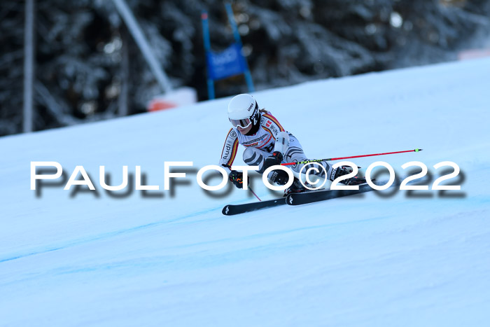 FIS AC NJC Damen + Herren Super-G