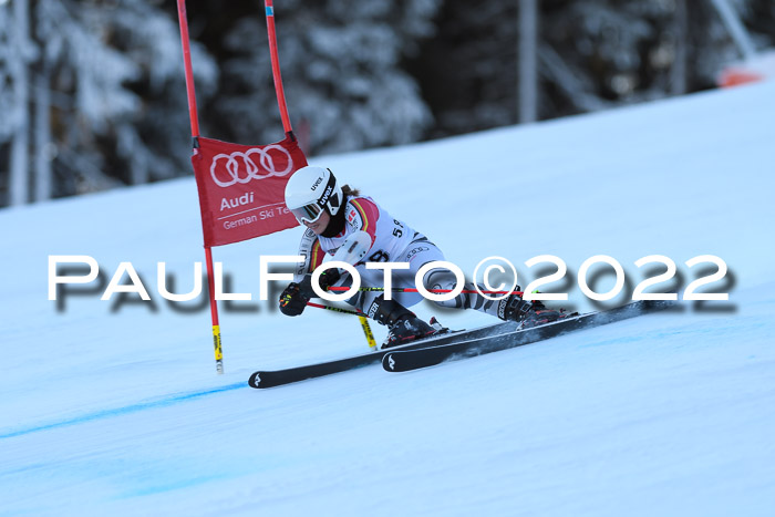 FIS AC NJC Damen + Herren Super-G