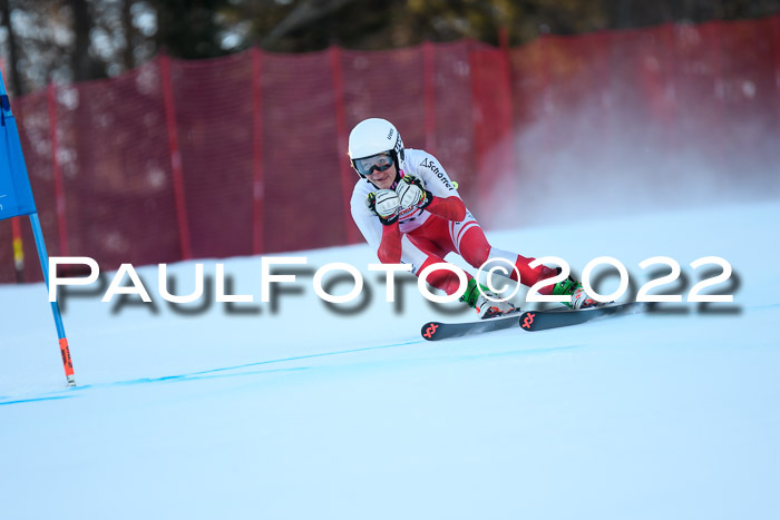 FIS AC NJC Damen + Herren Super-G