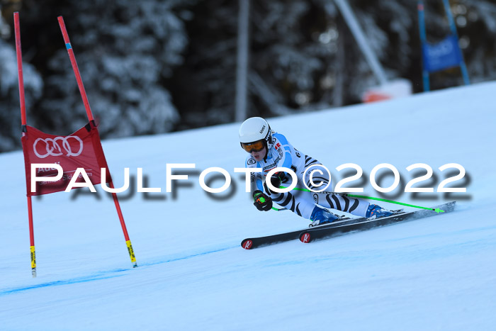 FIS AC NJC Damen + Herren Super-G