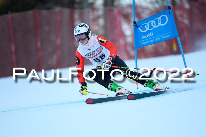 FIS AC NJC Damen + Herren Super-G