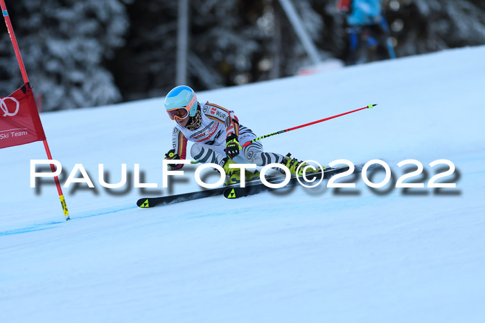 FIS AC NJC Damen + Herren Super-G