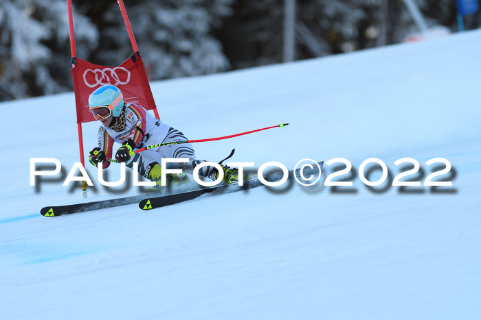 FIS AC NJC Damen + Herren Super-G