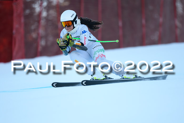 FIS AC NJC Damen + Herren Super-G