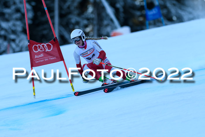 FIS AC NJC Damen + Herren Super-G