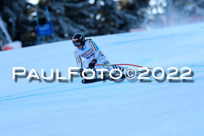 FIS AC NJC Damen + Herren Super-G
