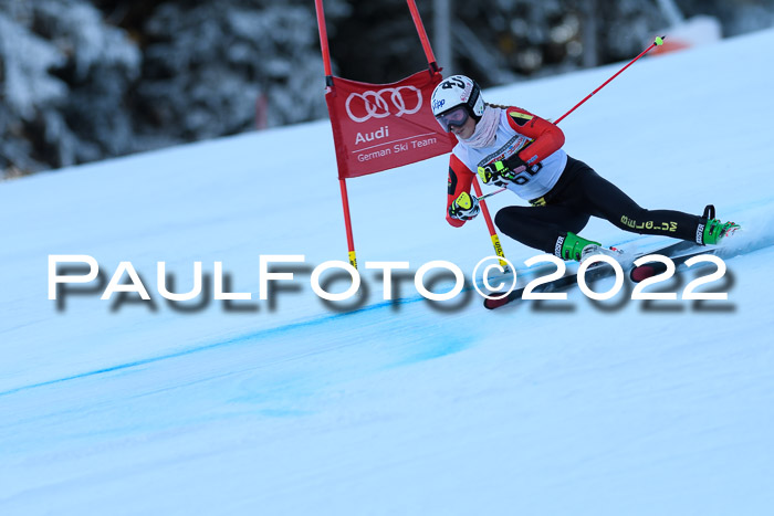 FIS AC NJC Damen + Herren Super-G