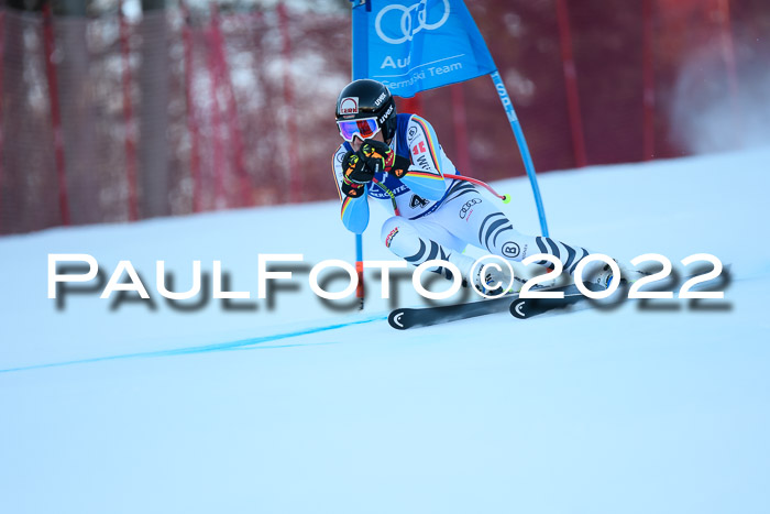 FIS AC NJC Damen + Herren Super-G