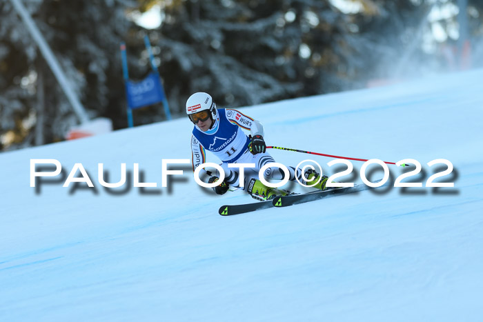 FIS AC NJC Damen + Herren Super-G