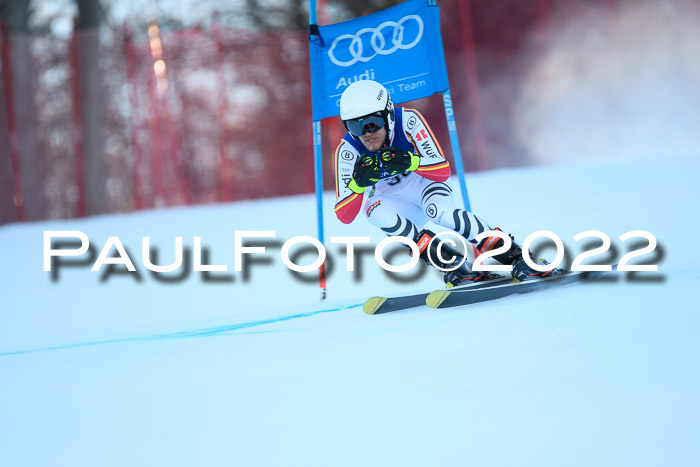 FIS AC NJC Damen + Herren Super-G