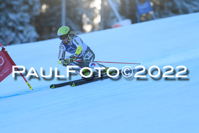 FIS AC NJC Damen + Herren Super-G
