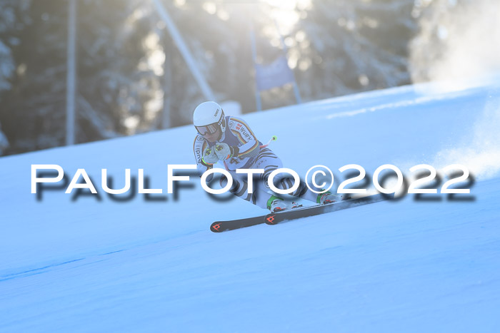 FIS AC NJC Damen + Herren Super-G