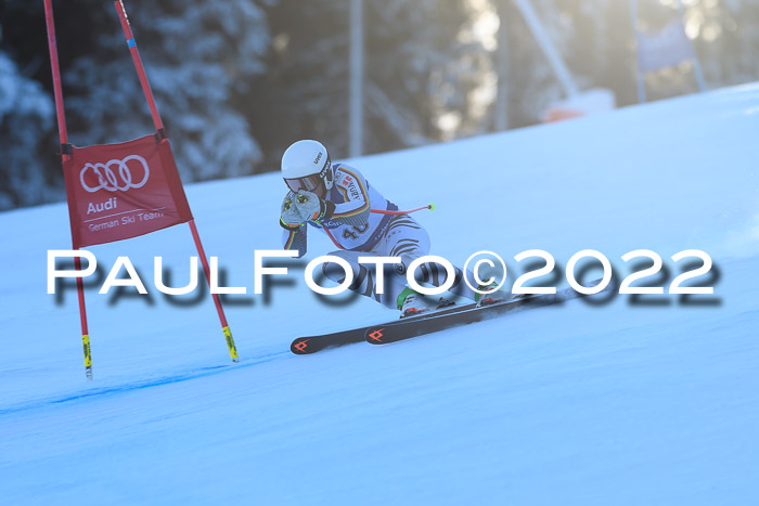 FIS AC NJC Damen + Herren Super-G