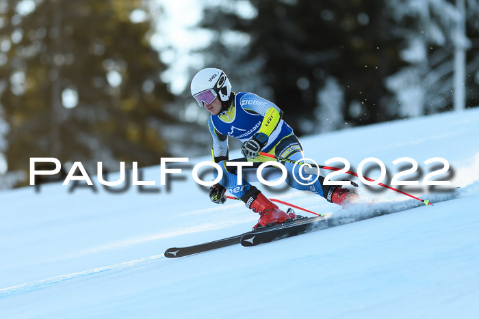 FIS AC NJC Damen + Herren Super-G