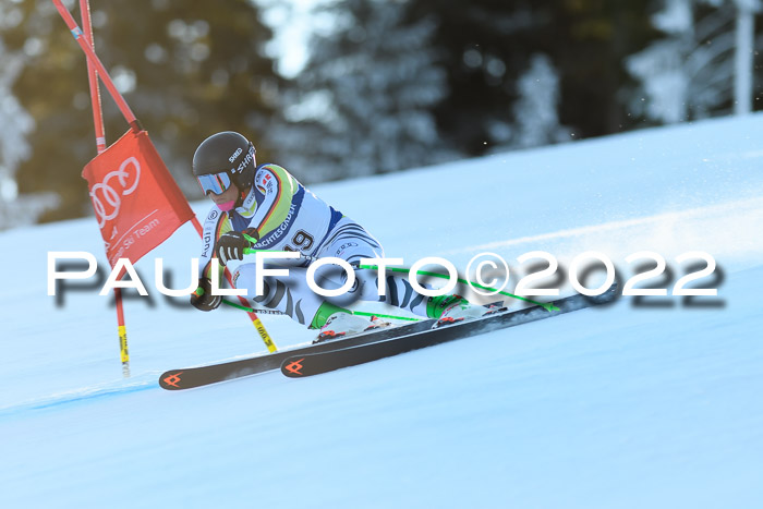 FIS AC NJC Damen + Herren Super-G
