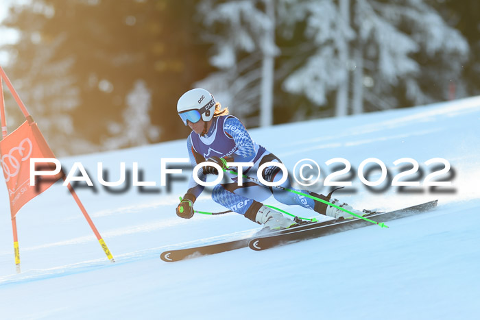 FIS AC NJC Damen + Herren Super-G