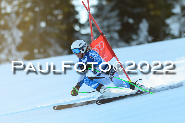 FIS AC NJC Damen + Herren Super-G