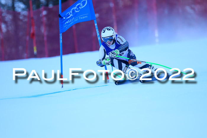 FIS AC NJC Damen + Herren Super-G