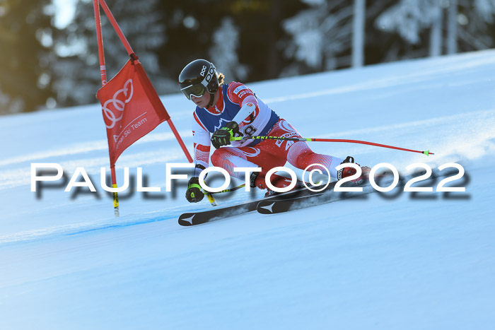 FIS AC NJC Damen + Herren Super-G