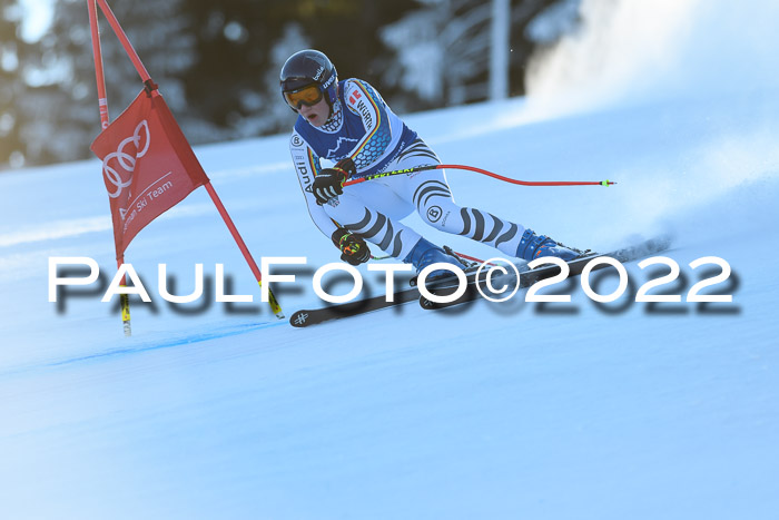 FIS AC NJC Damen + Herren Super-G