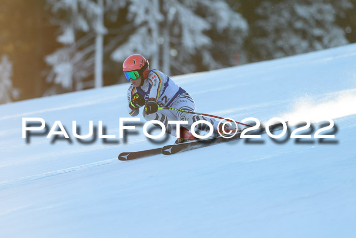 FIS AC NJC Damen + Herren Super-G