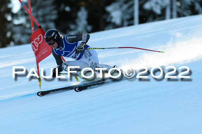 FIS AC NJC Damen + Herren Super-G