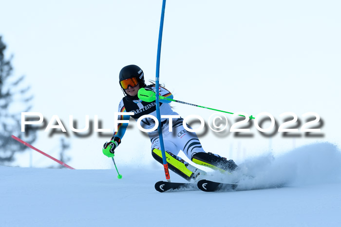 FIS AC NJC Damen + Herren Super-G