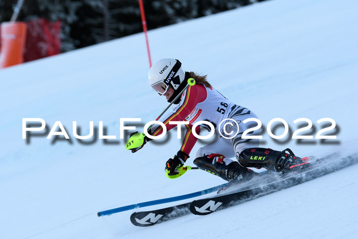 FIS AC NJC Damen + Herren Super-G