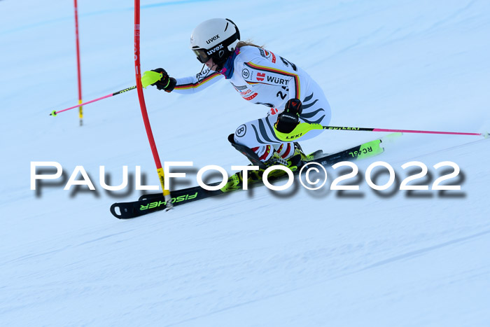 FIS AC NJC Damen + Herren Super-G