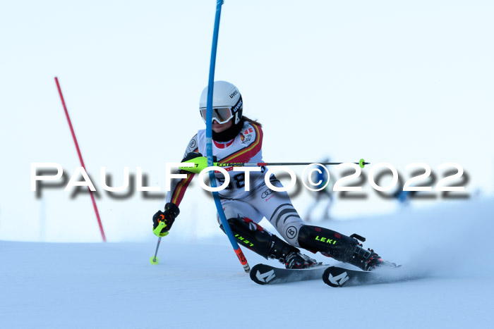 FIS AC NJC Damen + Herren Super-G