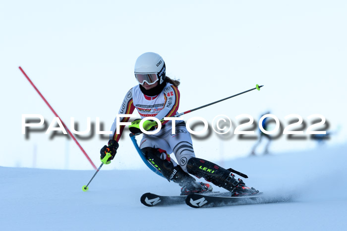 FIS AC NJC Damen + Herren Super-G