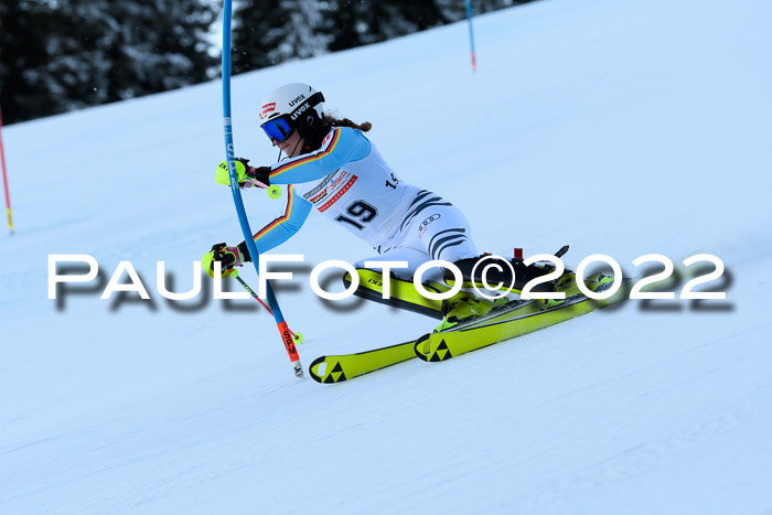 FIS AC NJC Damen + Herren Super-G