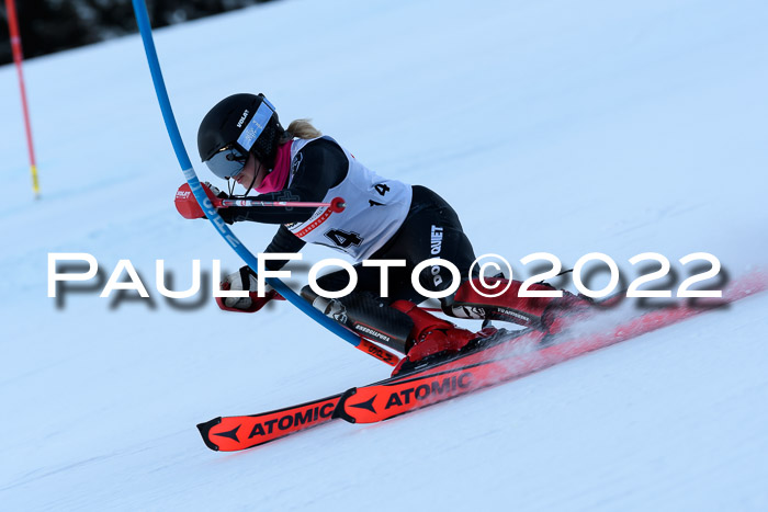 FIS AC NJC Damen + Herren Super-G