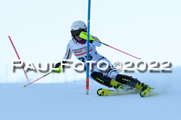 FIS AC NJC Damen + Herren Super-G