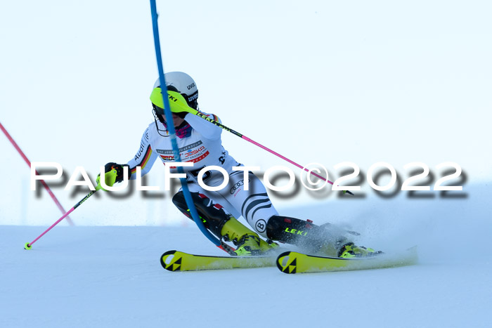 FIS AC NJC Damen + Herren Super-G