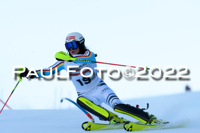 FIS AC NJC Damen + Herren Super-G