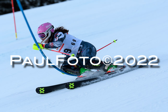 FIS AC NJC Damen + Herren Super-G