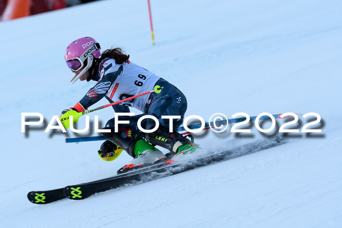 FIS AC NJC Damen + Herren Super-G