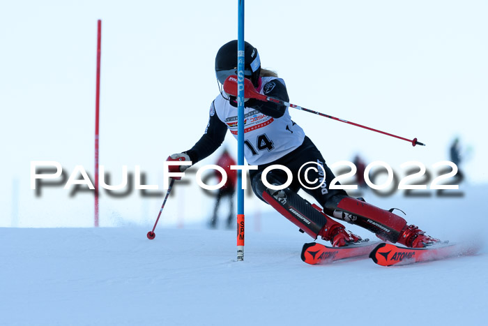 FIS AC NJC Damen + Herren Super-G