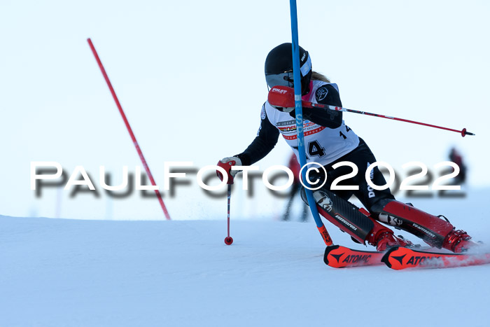 FIS AC NJC Damen + Herren Super-G