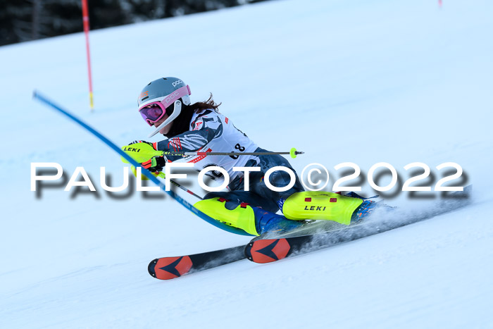 FIS AC NJC Damen + Herren Super-G