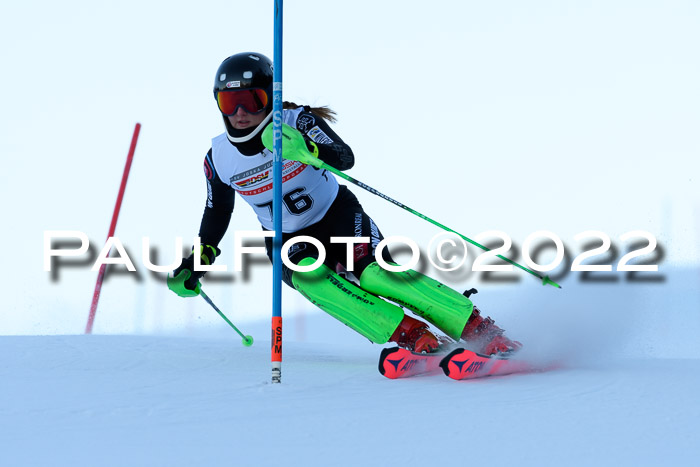 FIS AC NJC Damen + Herren Super-G