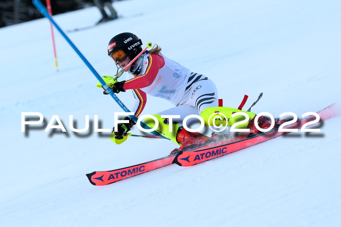 FIS AC NJC Damen + Herren Super-G