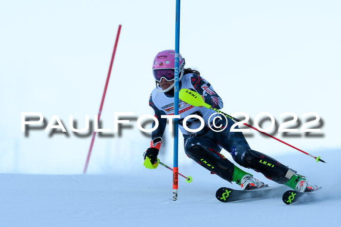 FIS AC NJC Damen + Herren Super-G