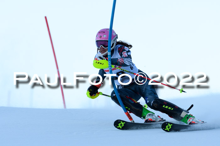 FIS AC NJC Damen + Herren Super-G